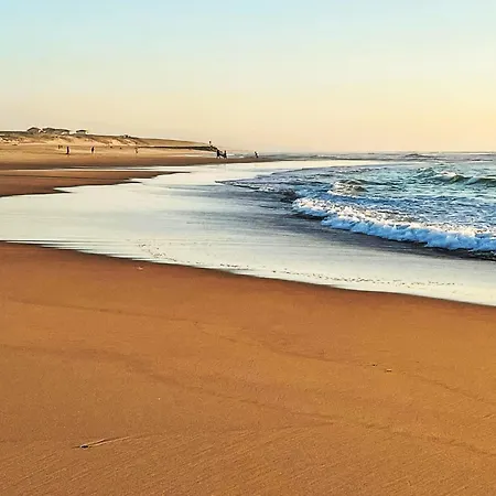 Lägenhet Cap Ocean-5 By Interhome Mimizan-Plage