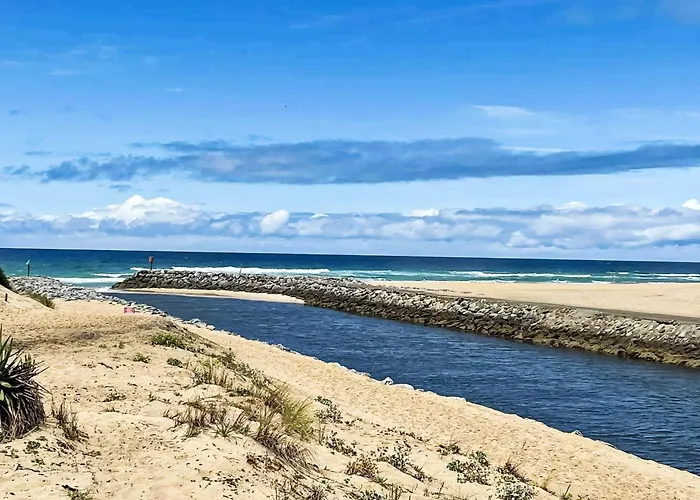 Cap Ocean-5 By Interhome Appartement